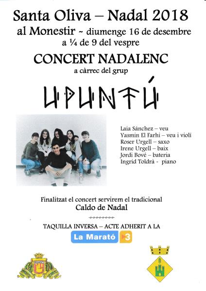 Concert Nadalenc a càrrec del grup 