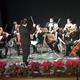 Concert+d%27homenatge+a+Pau+Casals