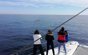 Albiren els primers exemplars de balena de la temporada a la costa del Garraf. EDMAKTUB