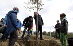 Amics i familiars reten homenatge a Pau Pérez, víctima de l'atemptat a les Rambles, amb una plantada d'oliveres