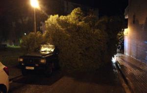 Arbres caiguts a Vilanova a causa de la pluja i el vent d'aquesta nit