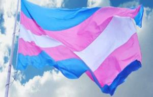 Bandera pels drets de les persones transsexuals . EIX
