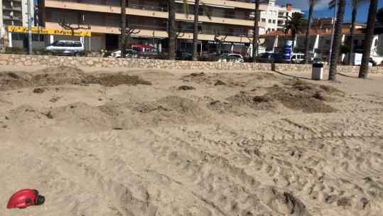 Calafell fa una prova pilot de dunes que conservin la sorra de les platges. Ajuntament de Calafell