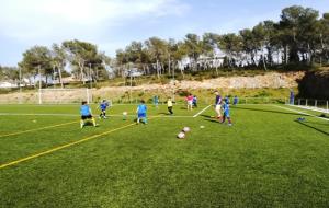 Camp municipal de futbol de Canyelles. Eix