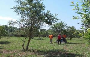 Comencen les primeres prospeccions amb georadar al jaciment iber de les Masies de Sant Miquel. Ajuntament de Banyeres