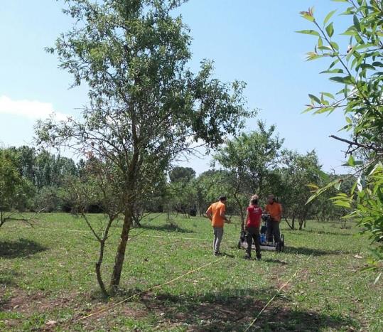 Comencen les primeres prospeccions amb georadar al jaciment iber de les Masies de Sant Miquel. Ajuntament de Banyeres