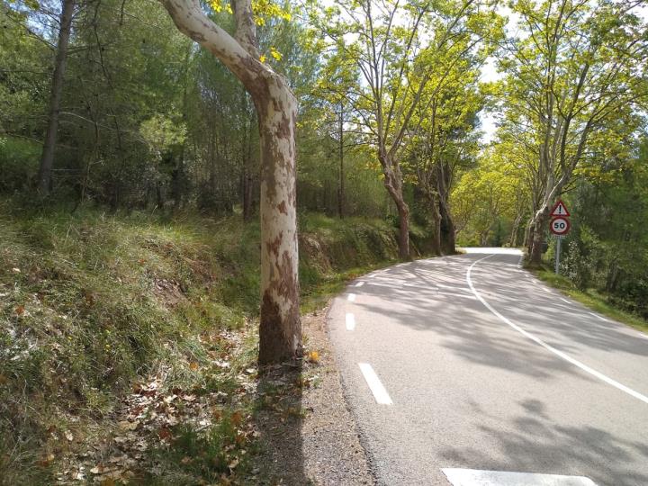 Construcció d'un itinerari de vianants a la C-243b a Gelida . Diputació de Barcelona