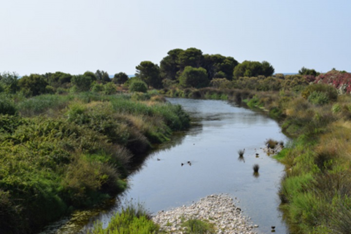 Cubelles impulsa la creació d’un camí turístic que abraci tot el riu Foix. Ajuntament de Cubelles