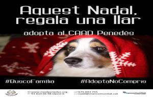 El CAAD Penedès promou l'adopció responsable en la campanya de Nadal