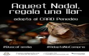 El CAAD Penedès promou l'adopció responsable en la campanya de Nadal