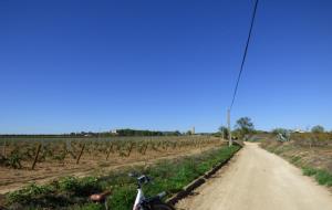 El Camí del Vi rep el premi a la millor experiència turística en els Guardons del Turisme de Catalunya. Ajuntament de Vilafranca