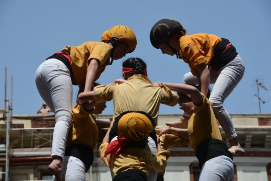 El carro gros, objectiu bordegàs aquest diumenge a la diada de Sant Jordi. Maite Gomà