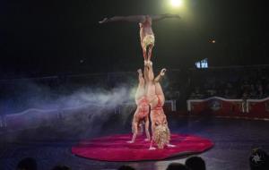 El Circ Raluy Legacy presenta el seu nou espectacle a Vilanova. Circ Raluy