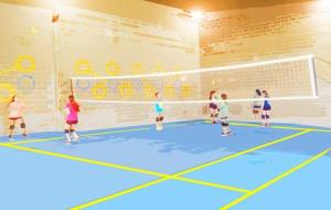El Club Voleibol Vilanova busca finançament per tenir una pista pròpia. EIX