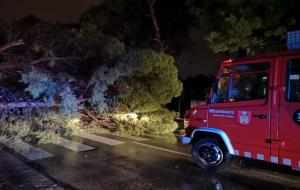 El passeig Vilanova de Sitges ha estat tallat aquesta nit mentre retiraven branques i arbres de la via pública