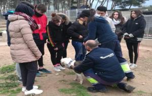 El PFI-PTT de Vilafranca col·labora amb el Centre d’Atenció d’Animals Domèstics (CAAD). Ajuntament de Vilafranca