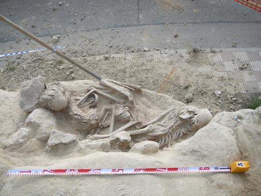 Els esquelets trobats en una estructura funerària que podria ser de l'Edat de Bronze a Masquefa. Ajuntament de Masquefa