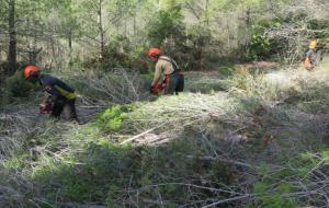 En marxa els treballs forestals a Ribes que generen biomassa per proveir calderes. Ajt Sant Pere de Ribes
