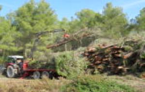 En marxa els treballs forestals a Ribes que generen biomassa per proveir calderes