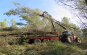 En marxa els treballs forestals a Ribes que generen biomassa per proveir calderes