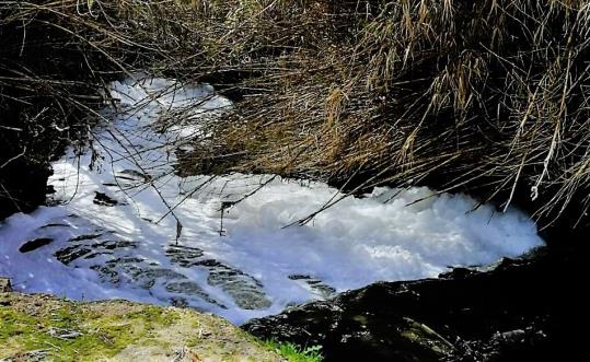 ERC denuncia un nou episodi de contaminació al Foix per culpa de la depuradora. ERC