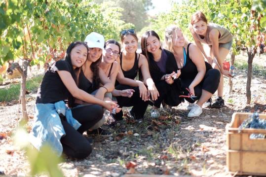 Estudiants del Master on Wine Tourism Innovation visiten el Penedès. EIX
