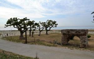 Finalitza els treballs de millora i naturalització de la platja del Far de Vilanova. Consorci dels Colls