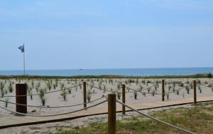 Finalitza els treballs de millora i naturalització de la platja del Far de Vilanova