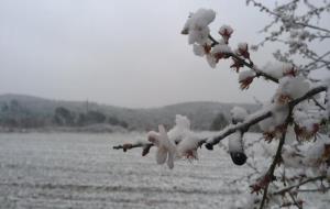 Fotos de la nevada a Viladellops (Olèrdola)