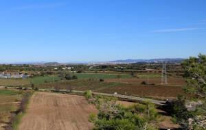 Gran pla general dels terrenys de Banyeres del Penedès on CIMALSA preveu la construcció del Logis Penedès