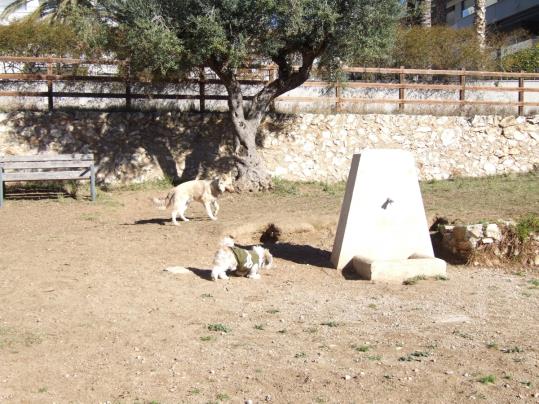 Habiliten sis noves zones d’esbarjo per a gossos al Vendrell. Ajuntament del Vendrell