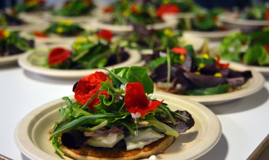 Igualada donarà a conèixer les aplicacions gastronòmiques de les plantes en una jornada amb més de 70 activitats. Eixarcolant 