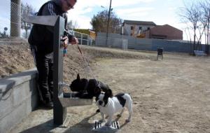 Imatge del propietari d'un parell de gossos que els ajuda a beure a la font del primer espai caní de Mollerussa. ACN