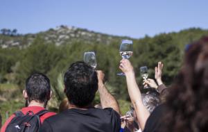 Imatges d'arxiu del Microvi, esdeveniment de referència dels petits cellers a Catalunya