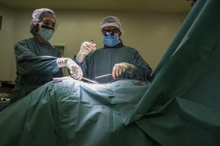 Infermera i metge realitzen una sutura quirúrgica a l'Hospital de Mollet. Ariadna Creus/Àngel Garci