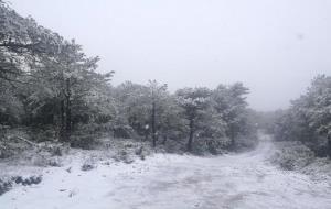 Intensa nevada a La Llacuna, Anoia. Marc Martínez