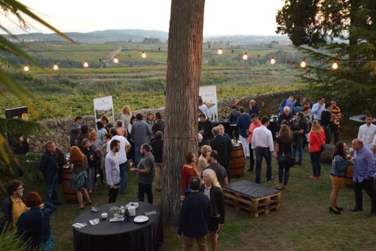 La DO Penedès prepara la segona edició de La Nit dels Clàssics per a acomiadar l’estiu. DO Penedès