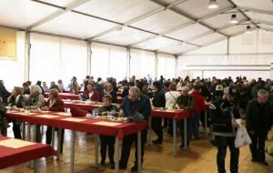 La Fira del Gall consolida l’assistència i augmenta la satisfacció dels visitants a Vilafranca del Penedès