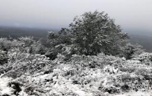 La neu torna a enfarinar alguns punts de Canyelles