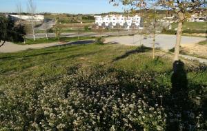 La pista d'skate de Sant Sadurní entrarà en servei al gener. Ajt Sant Sadurní d'Anoia