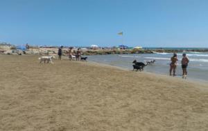 La platja de les Salines obté per primera vegada el premi Bandera Ecoplayas 2018. Ajuntament de Cubelles