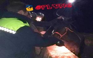 La policia i els bombers rescaten un cavall que va caure al canal del riu del Foix
