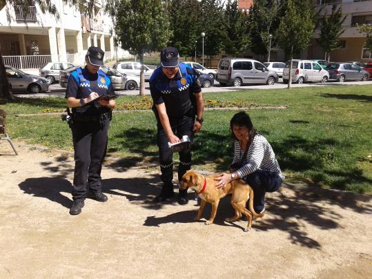La Policia Local i el Servei de Salut de l’Ajuntament de Vilafranca tornen a controlar que els gossos tinguin implantat el microxip. Ajuntament de Vil
