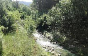 L'ACA analitza els efectes de la implantació dels cabals ambientals en el riu Foix