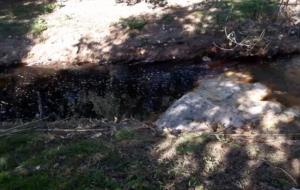 L’Ajuntament de Banyeres del Penedès denuncia abocaments il·legals a la riera de Sant Miquel. Cedida