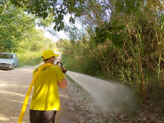 Les ADF del Penedès i Garraf endarrereixen l'inici de la campanya forestal fins al juliol. ADF