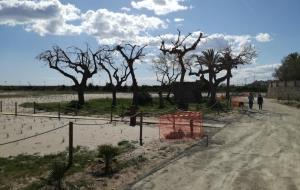 Les obres de naturalització de la platja del Far estan pràcticament enllestides on s’han suprimit 400 places d’aparcament