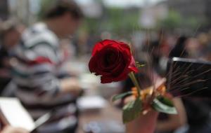 Llibres i roses prenen els carrers per Sant Jordi. EIX