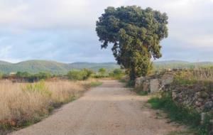 Llorenç del Penedès arranja quatre camins municipals. Ajt Llorenç del Penedès