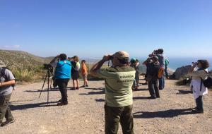 L’observació d’aus migratòries de la Pleta busca promoure el turisme ornitològic a Sitges